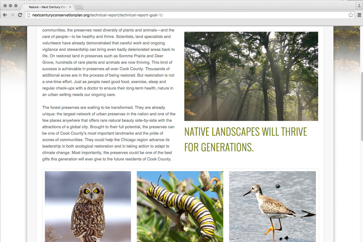 Art On The Loose, Inc.