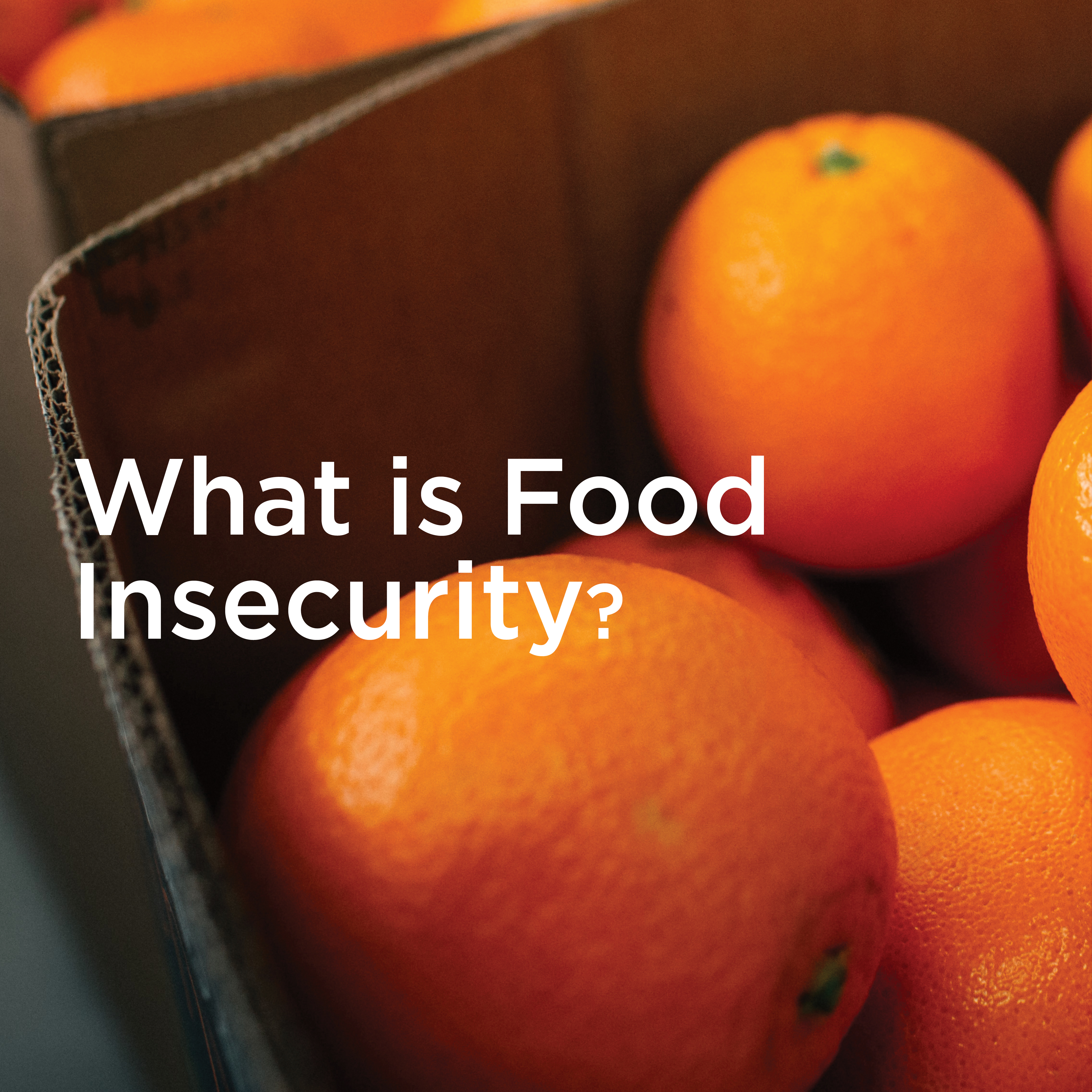 Art On The Loose, Inc.